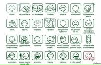 Дмитрий Сайгин фотография #43 (источник - https://vk.com/id5625447)