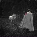 Фотография Нелюбова Алексея