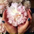 Фотография Шеврыгиной Марии