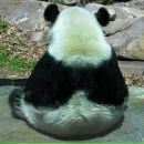 Фотография Ри Леночки