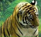 Фотография Люкшиной Оксаны