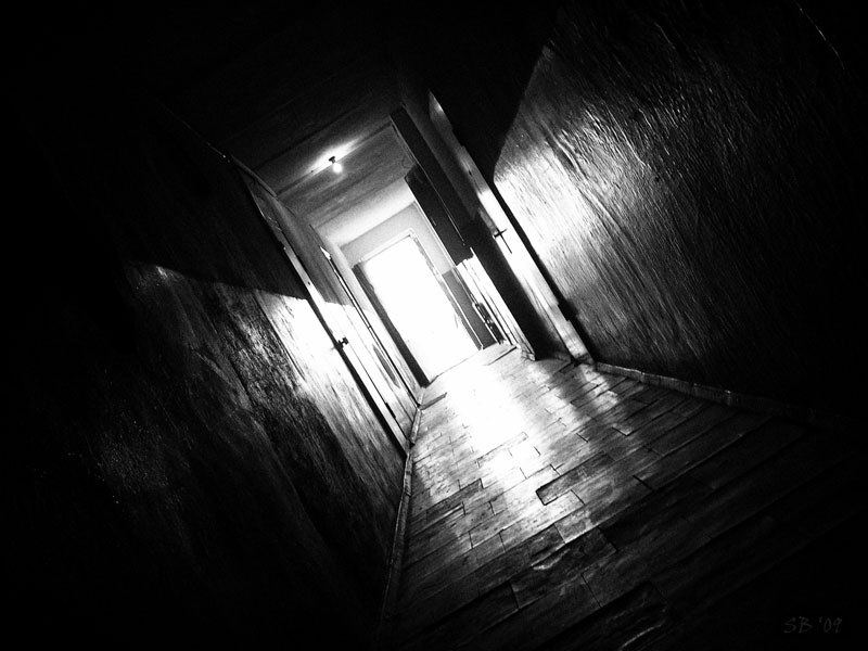 Дмитрий Щербаков фотография #37