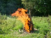 Діма Яценко фотография #39 (источник - https://vk.com/id12352602)