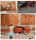 Макс Дзівак фотография #47 (источник - https://vk.com/id9614543)