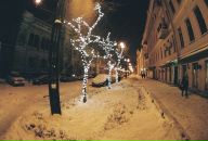 Фотография Метелева Олега