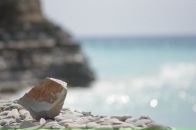 Фотография Задорожной Виктории