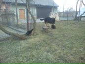 Михайло Пілавка фотография #11 (источник - https://vk.com/id30149017)