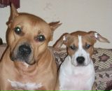 Фотография Никитиной Елены