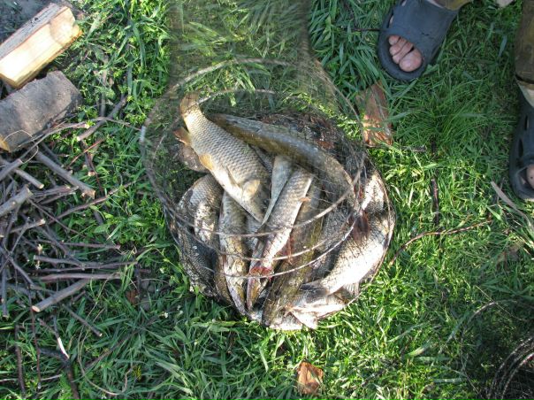 Игорь Дужик фото №5