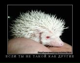 Валентин Дідур фотография #46 (источник - https://vk.com/id73228146)