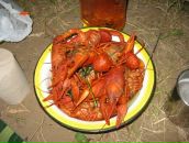 Фотография Ускова Евгения