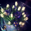 Віка Харченко фотография #21 (источник - https://vk.com/id167043019)