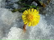 Фотография Korotetskaya Irina