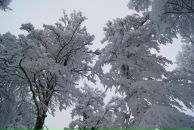 Володя Піпаш фотография #35 (источник - https://vk.com/id64047541)