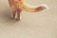 Фотография Savelova Yana