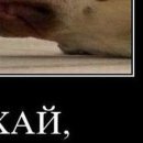 Дєня Євдокименко фотография #48 (источник - https://vk.com/id146939247)