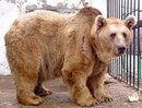 Софійка Микитюк фотография #4 (источник - https://vk.com/id148055597)