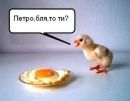 Давід Пашкевич фотография #48 (источник - https://vk.com/id156677730)