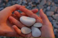 Фотография Колесниковой Полины