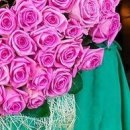 Іринка Ходинчак фотография #18 (источник - https://vk.com/id32260967)