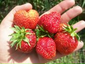 Фотография Биенко Екатерины