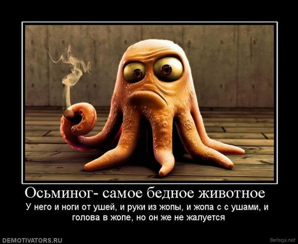 Дима Ступка фото №19