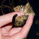 Андріана Винницька фотография #1