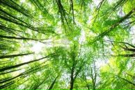 Фотография Соколовой Ларисы