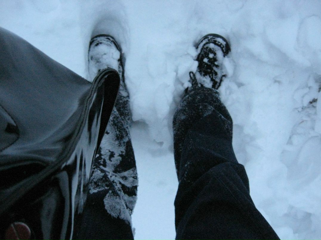 Дмитрий Никитенко фотография #21