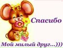 Ірина Каспрук фотография #23 (источник - https://vk.com/id159345337)