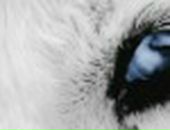 Фалалей Варлаамов фотография #7 (источник - https://vk.com/id8901131)