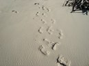 Фотография Аношиной Ольги