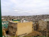 Дмитрий Фёдоров фотография #20 (источник - https://vk.com/id28347)