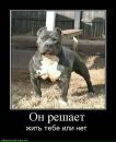 Олег Батин фотография #47 (источник - https://vk.com/id54866183)