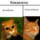 Анастасія Мікс фотография #24 (источник - https://vk.com/id141982736)