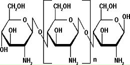 Фотография Троянской Елены