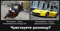 Дима Rex фотография #34 (источник - https://vk.com/id43593739)