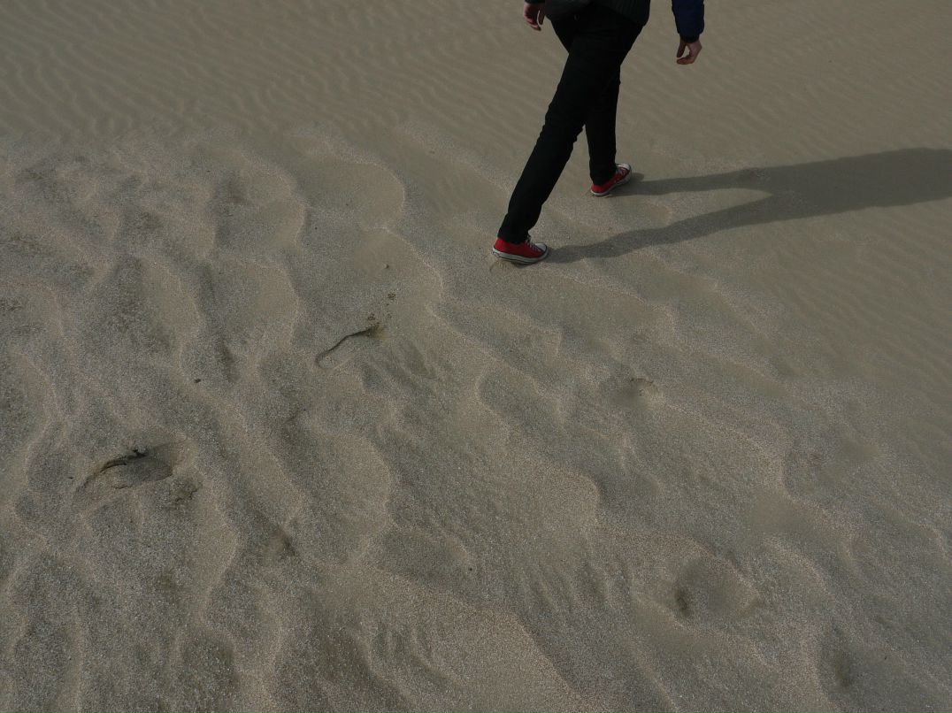 Дмитрий Гармидер фотография #20