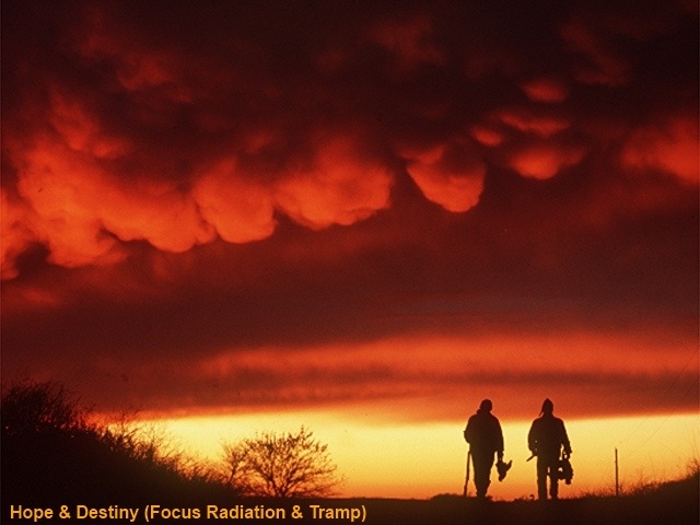 Focus Radiation фотография #15