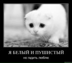 Фотография Цехмейструка Алесандро