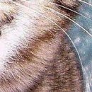 Вова Підпалий фотография #20 (источник - https://vk.com/id150487699)