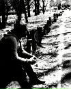 Фотография Rody Sheikh