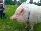 Фотография Козлова Романа