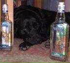 Фотография Наполовой Анастасии