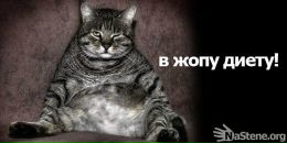 Фотография Пискова Александра