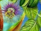 Елена Лебедева фотография #17 (источник - https://vk.com/id78795101)