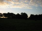 Ромул Рем фотография #9 (источник - https://vk.com/id4353335)