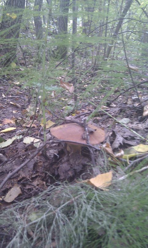 Александр Филатов фотография #40