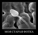 Назік Беднарський фотография #9 (источник - https://vk.com/id156431368)