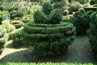 Αнна Κалашникова фотография #29 (источник - https://vk.com/id84410140)